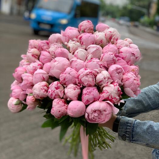 Bouquet of 51 Peonies