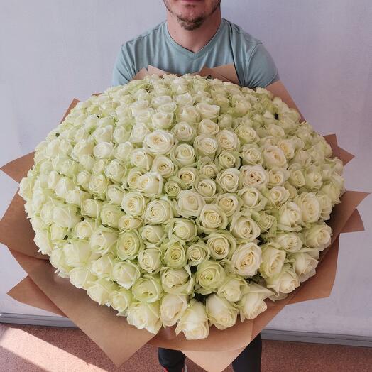 Bouquet of 201 white roses 60cm