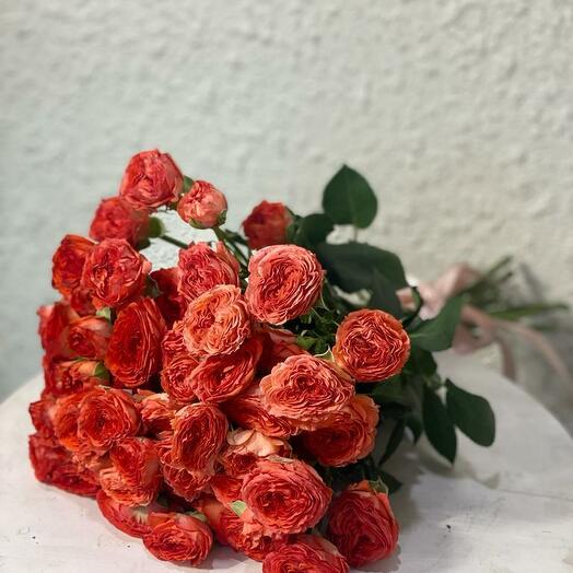 Сумерки