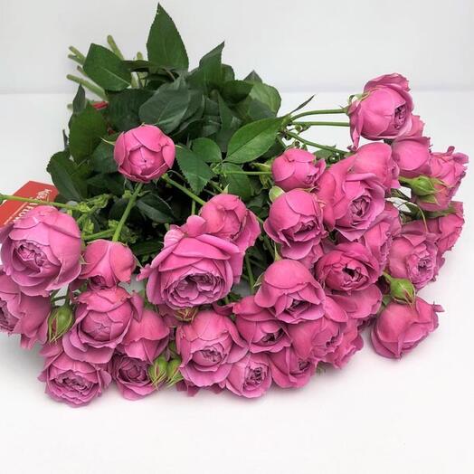 Misty Bubbles roses 9 pcs