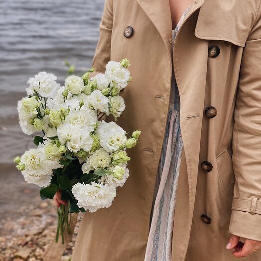 Eustoma