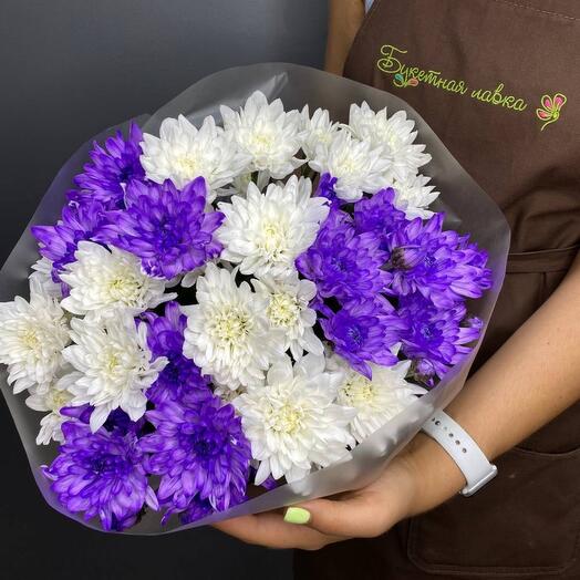 7 bush chrysanthemums (1)