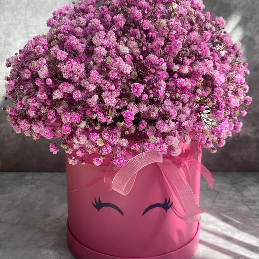 Rainbow gypsophila
