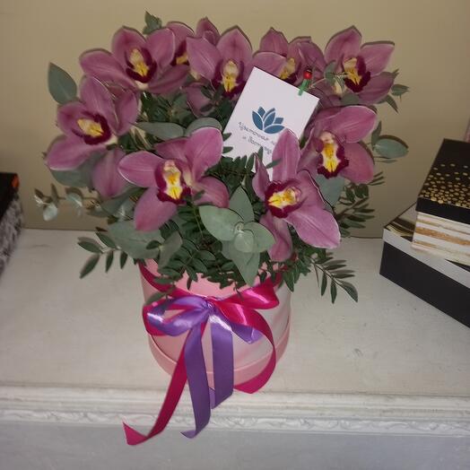 Верное сердце