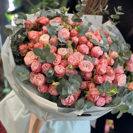 Sprey Rose XL