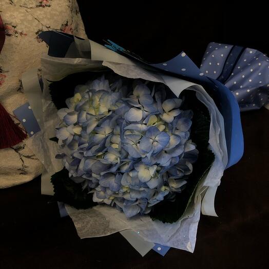 Hortensia azul en decoración