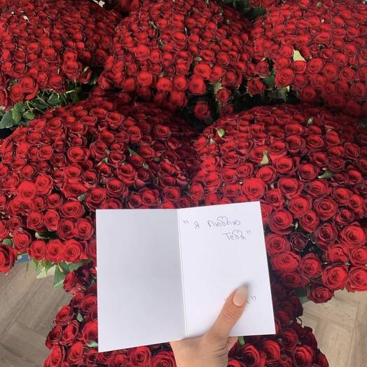 1001 Red roses