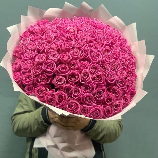 101 Rosa Acua