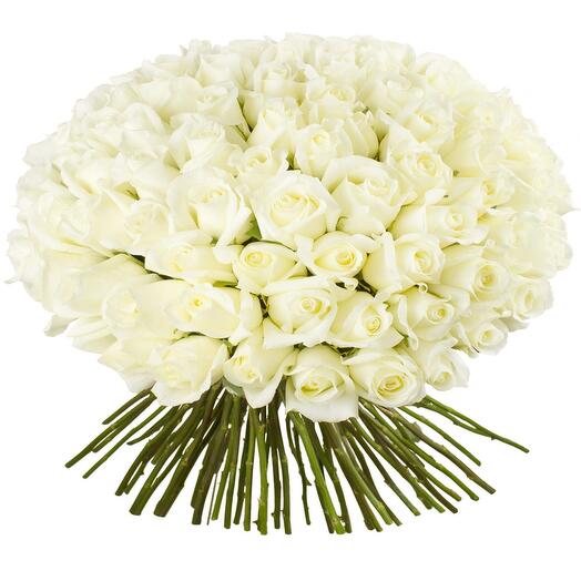 151 White Roses Bouquet