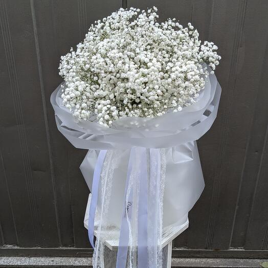 Гипсофилии