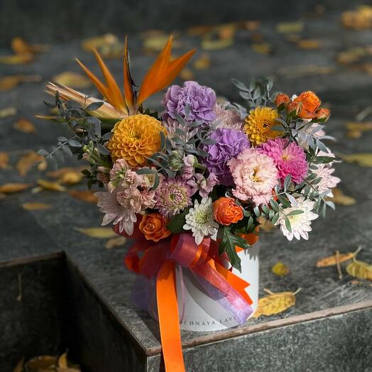 Lady Bird!  💐🦋🍀 больше живых Цветов и меньше обертки пустой =)