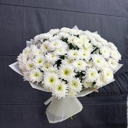 White chrysanthemum