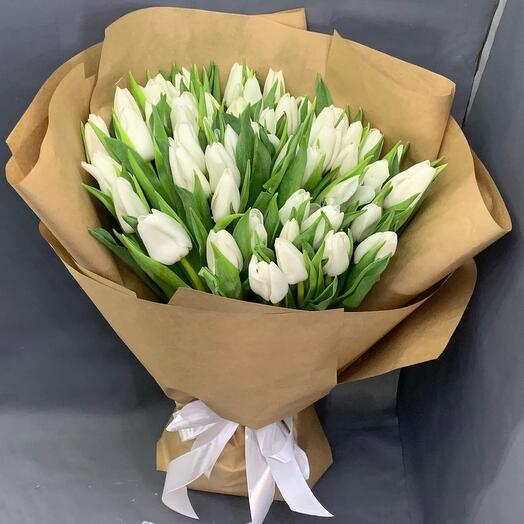 🌷 тюльпаны