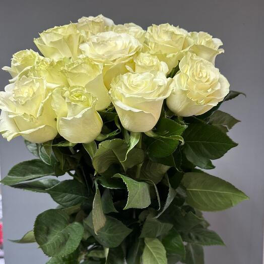 Bouquet of 15 white roses