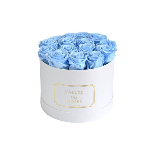 Baby Blue Preserved Roses