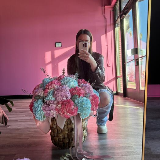 Səbətdə hortensiya