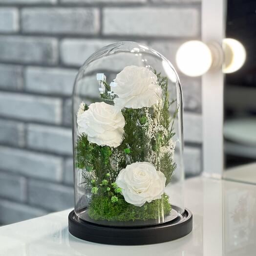 Arreglo Mini "Pure Soul" rosas blancas en frasco en Caja de regalo /22 cm