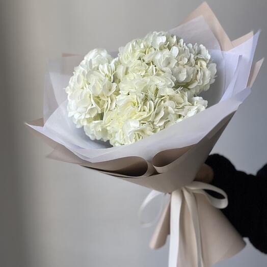Гортензии белые 3 шт