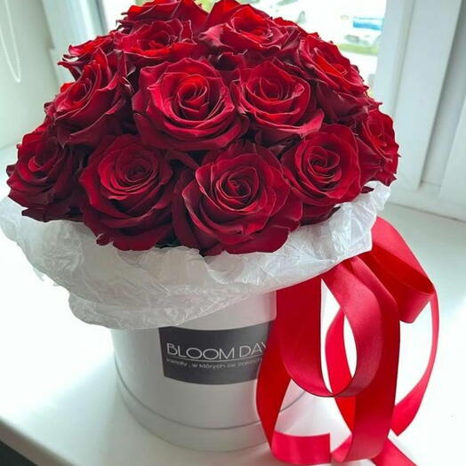 MIS SENTIMIENTOS POR TI