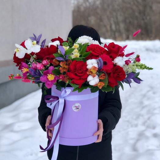 Бокс гигант восторг