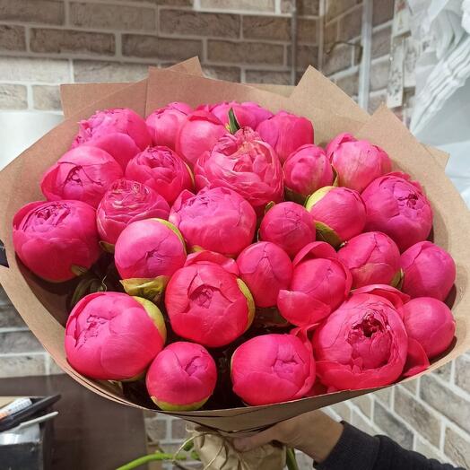25 coral peonies