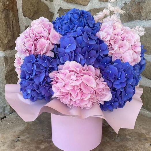 Bouquet of mixed hydrangeas in hat box
