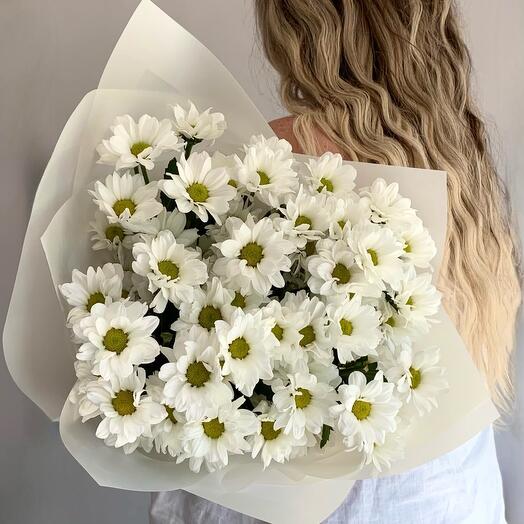 Солнечный 😍 хризантема ромашка