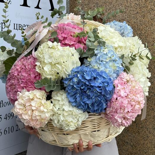 Корзина гортензий