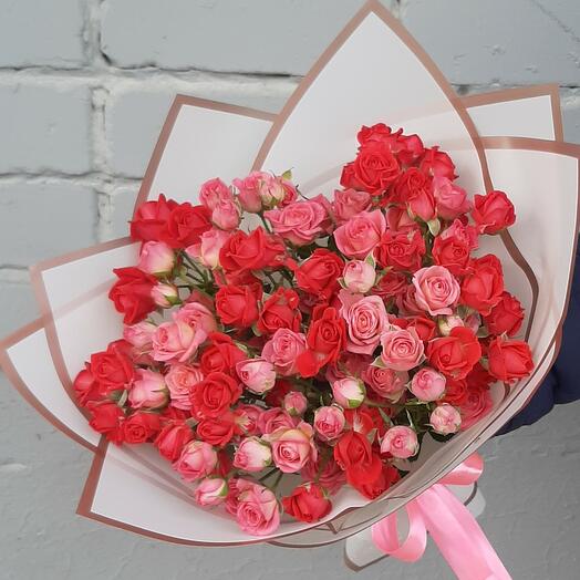 Mezcla de rosas arbustivas