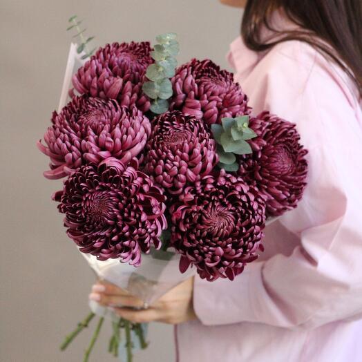 Букет из 7 темных крупных хризантем с эвкалиптом