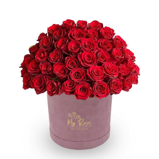 Lilac Velvet Box With 200 Red Roses