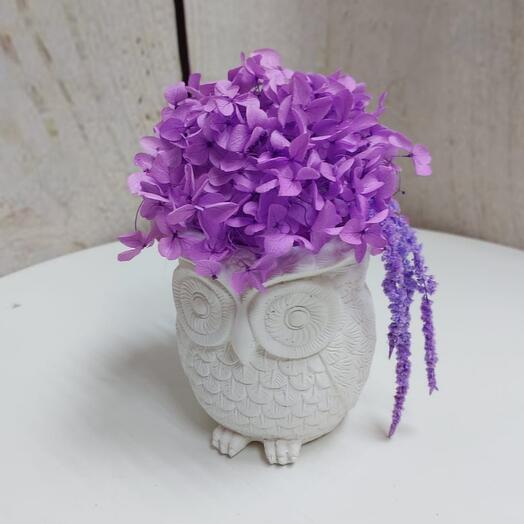 Interior composition with stabilized hydrangea Owl Purple