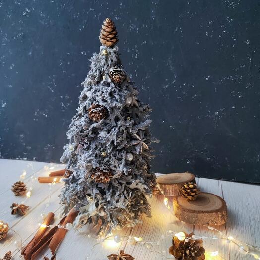 Елочка из стабилизрованной цинерарии