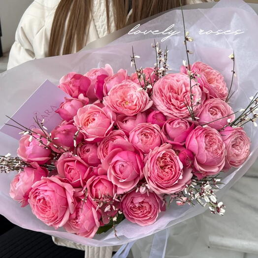 Garden Roses S