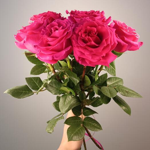 Ramo de 7 rosas rosas Ecuador