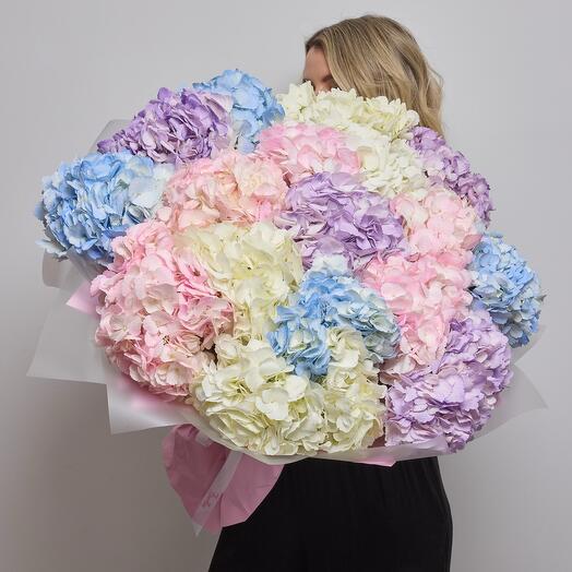 Неповторимый букет из 17 разноцветных гортензий