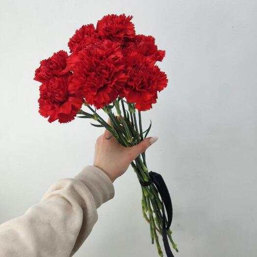 Красные гвоздики (10шт)