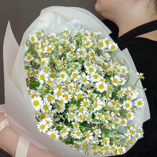 Букет ромашек кустовых