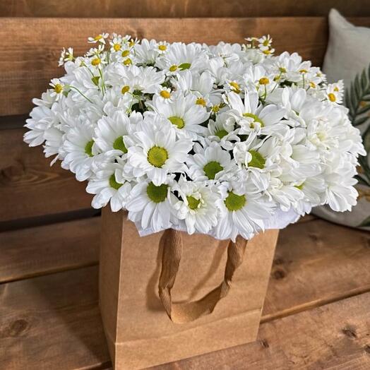 Daisies in a kraft bag