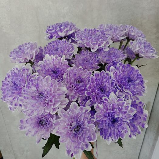Маленькое чудо