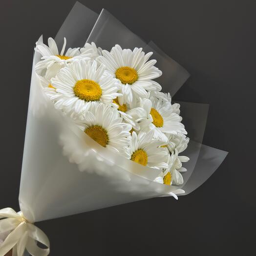 Ромашки королевские