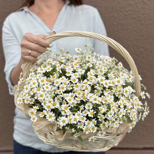 Корзина с ромашками