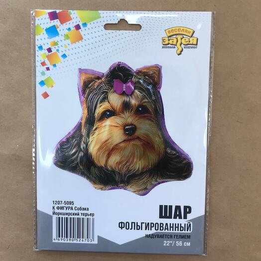 Гелиевая фольгированная фигура собака Йоркширский терьер
