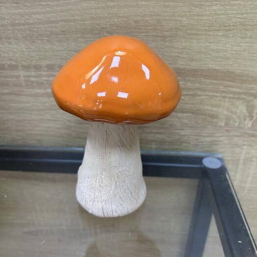 Гриб боровик