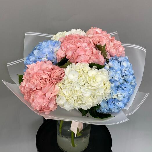 Гортензия микс 7 штук в упаковке