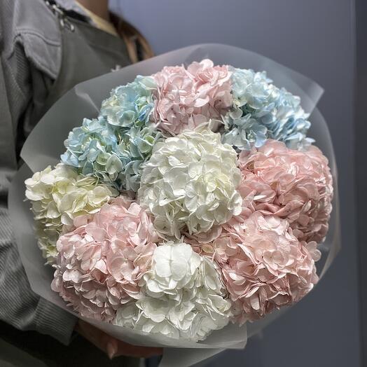 Букет  из 9 разноцветных гортензий