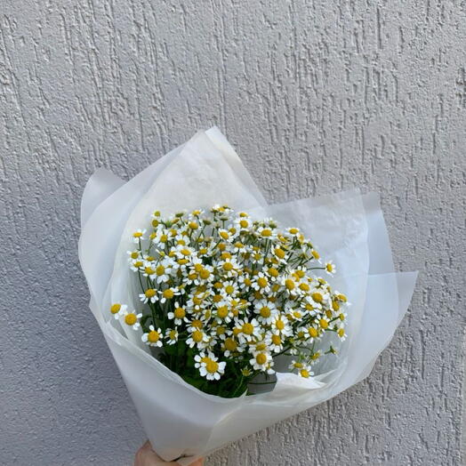 Букет из 7 веток Ромашки