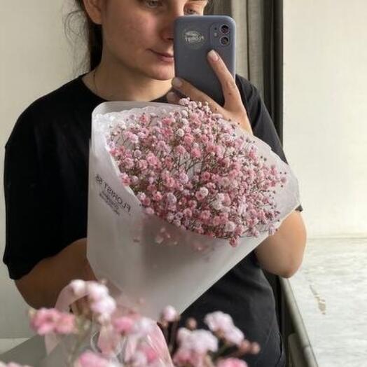 Нежная гипсофила