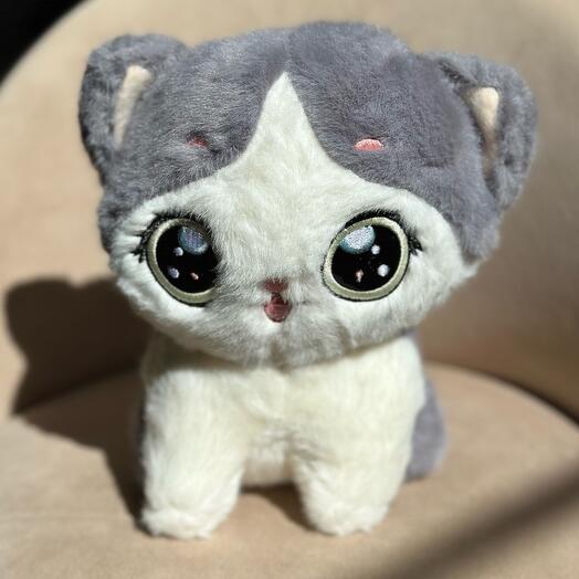 Котенок плюшевый🩷