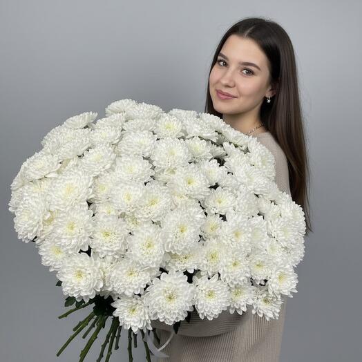 Монобукет из кустовой хризантемы Алтай 17шт